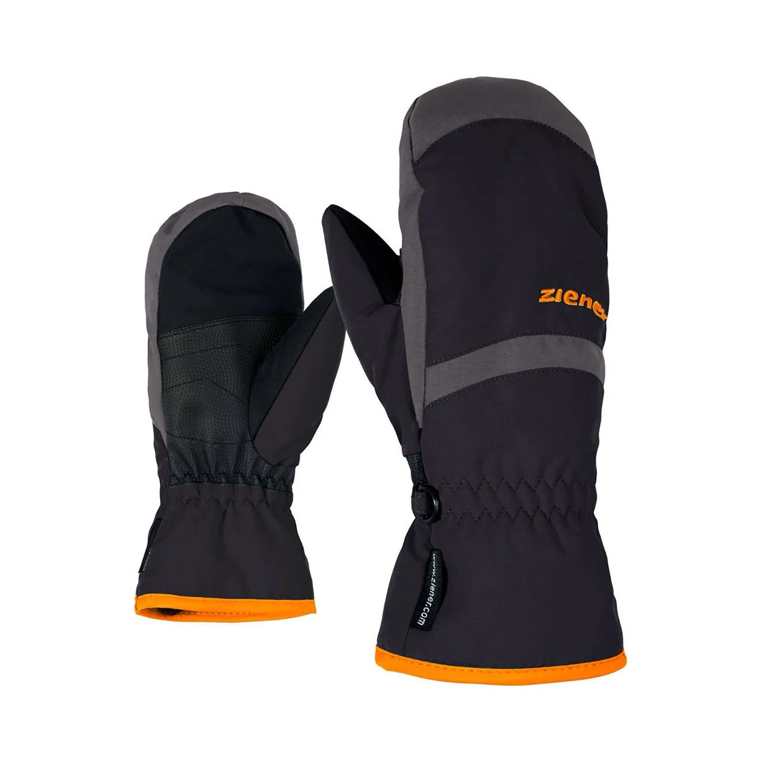 Ziener Lejanos AS(R) 1 Ziener Lejanos AS(R)